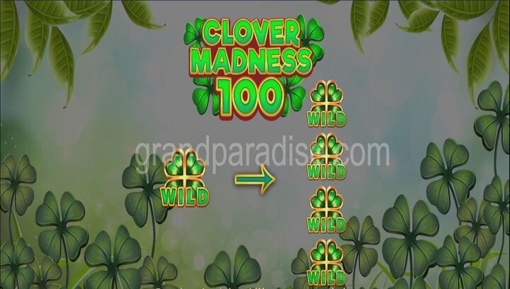 Clover Madness 100