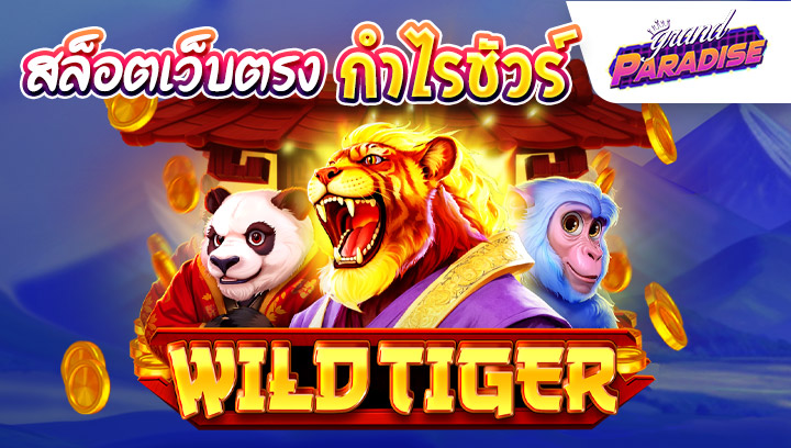 สล็อตเว็บตรงกำไรชัวร์ Wild Tiger